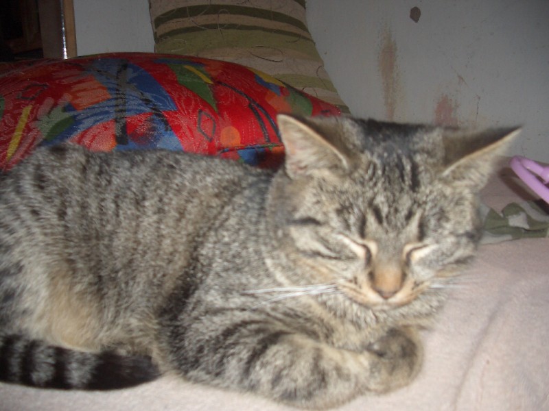 IMGP3758.jpg