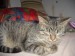 IMGP3758.jpg