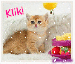 klikačka.gif